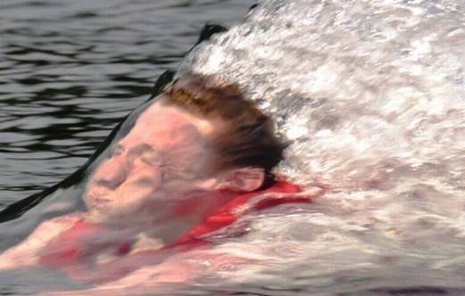 Sheldon Webster's profile image