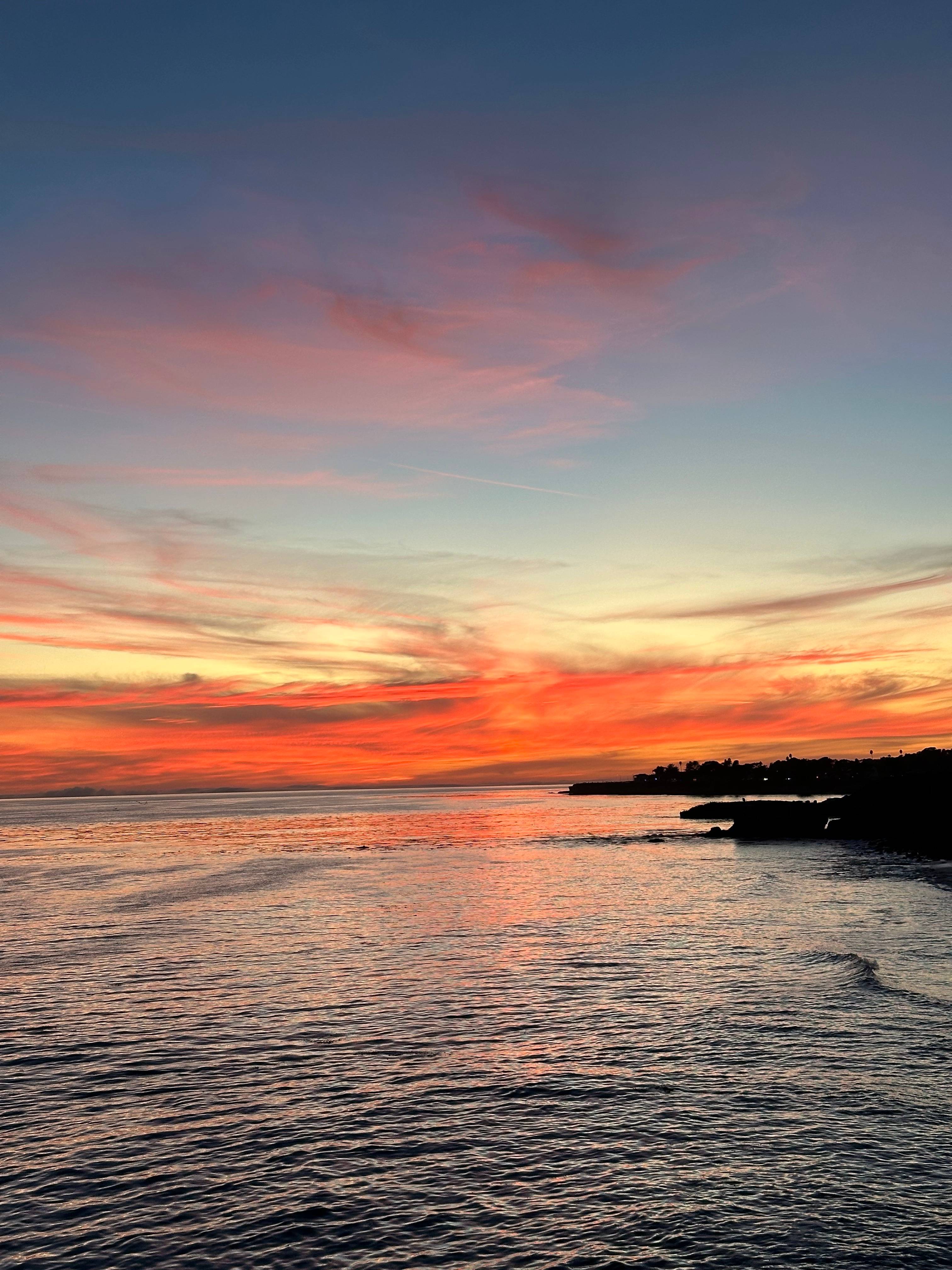 Angelina A.'s profile image