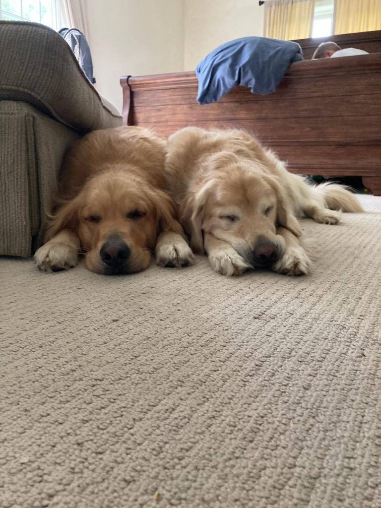 Hector Lowery's profile image