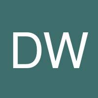Dawit Wo's profile image