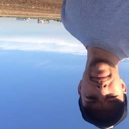 Mark Norris's profile image