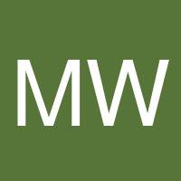 Meskerem Woldemeskel's profile image