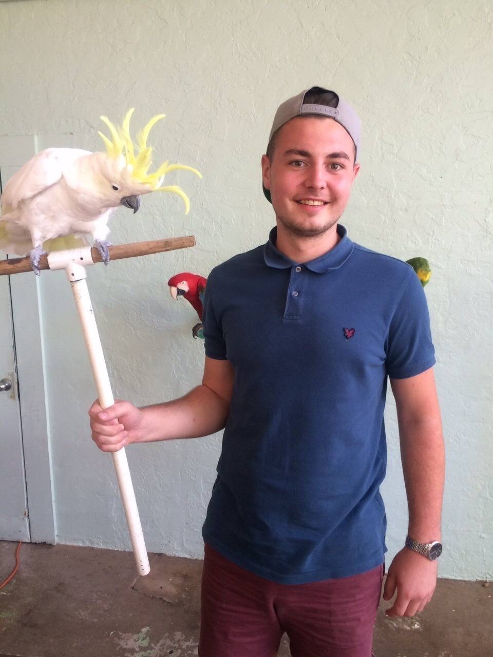 Josh Miles's profile image