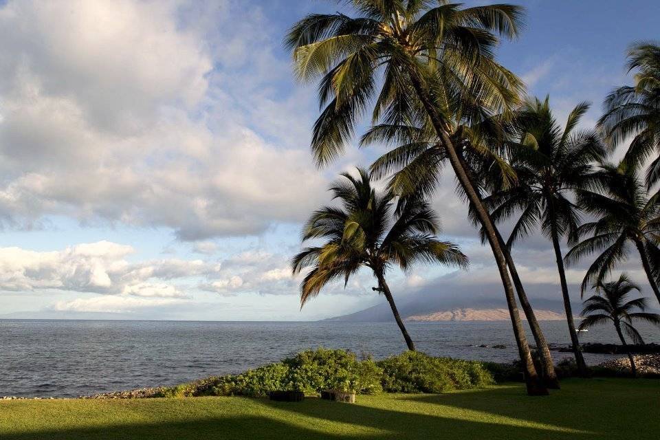 Jianni Armani's profile image