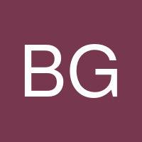 Bruce Gingerick's profile image
