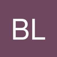 Brayand L. Soler Santos's profile image