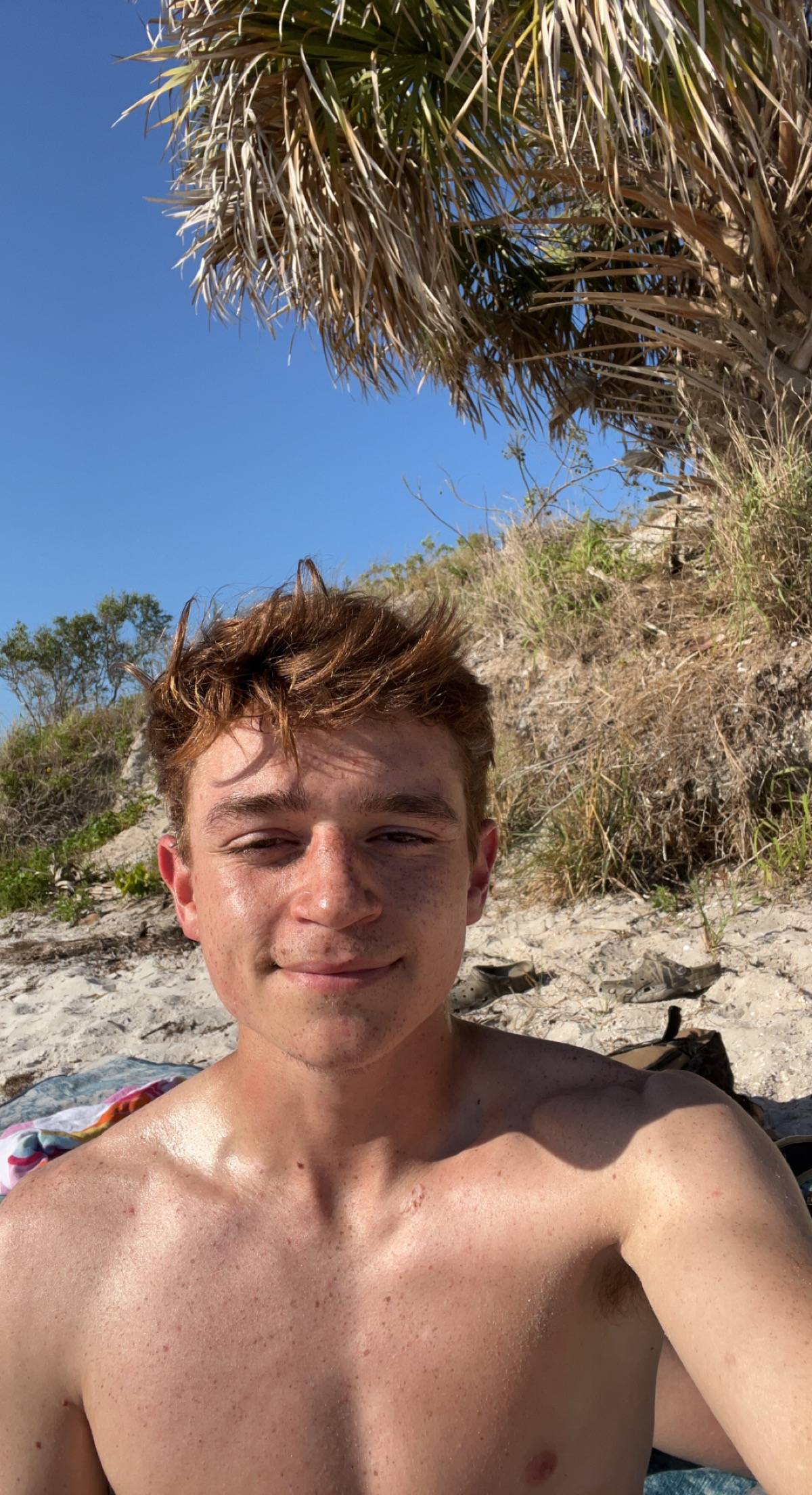 Dylan Ausborn's profile image
