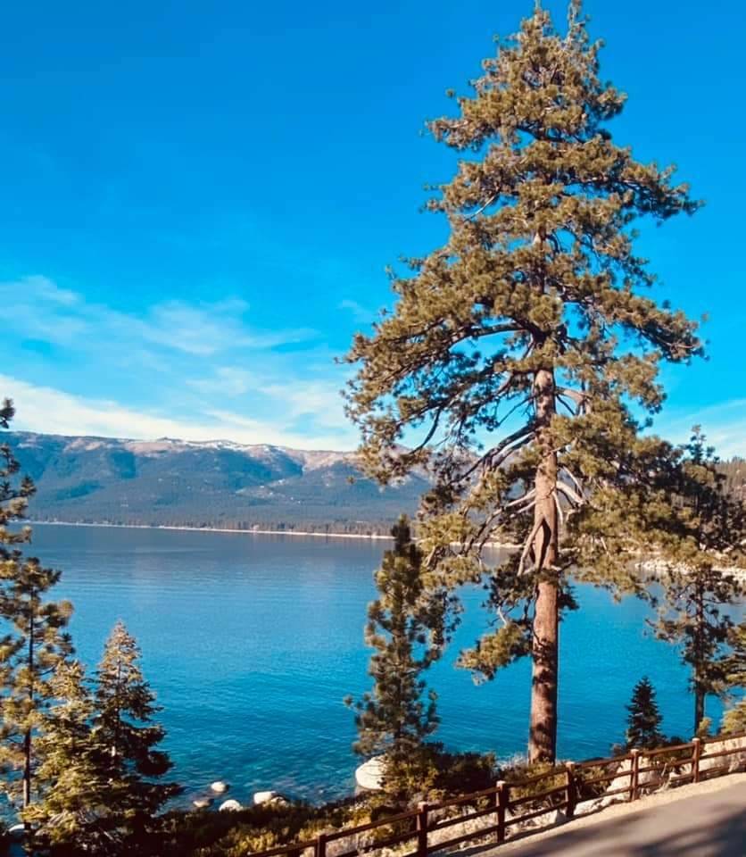 Lisa A.'s profile image