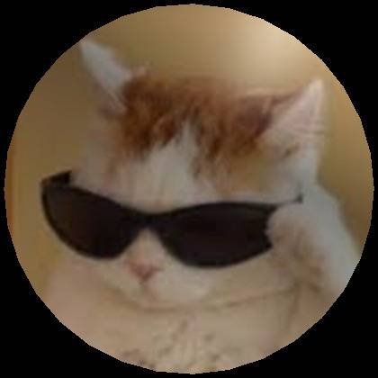 Matthew Nelson's profile image