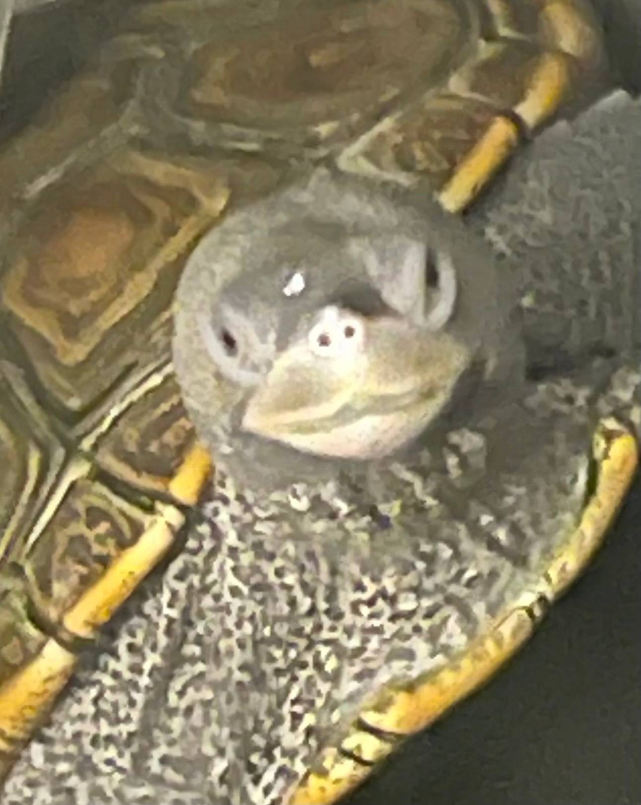 Brandon Cusma's profile image