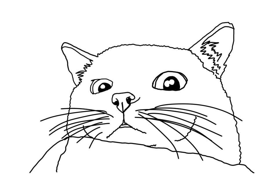 Lora L.'s profile image