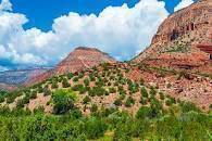 Augustin De La Sierra's profile image