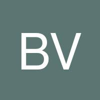 Bee Vengthisane's profile image