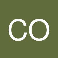 Chisom Odogwu's profile image