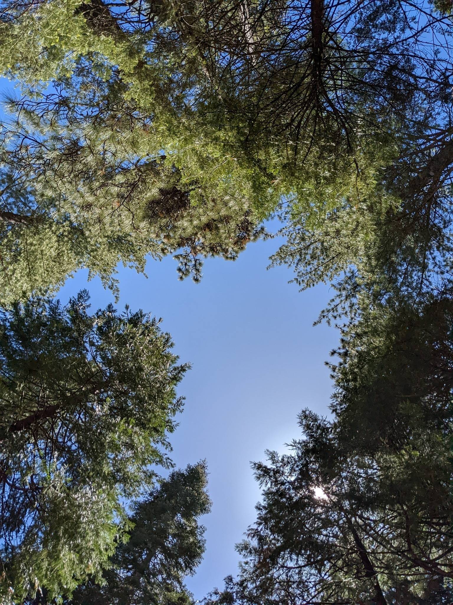 Jean Rhem's profile image