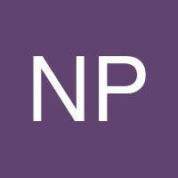 Nick Pokorny's profile image