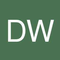 Daisy Wang's profile image