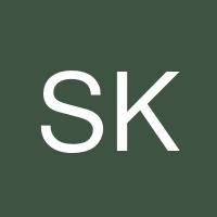 Saeed Karimabadi's profile image