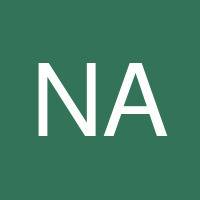 Nicholas Aaron Fernandes's profile image