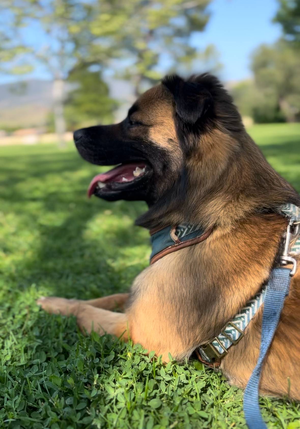 Oscar Martin's profile image