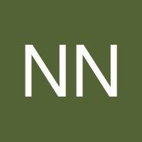 Nick Novo's profile image