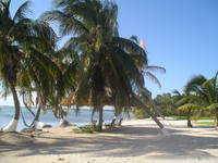 Ireland MacBradaigh's profile image