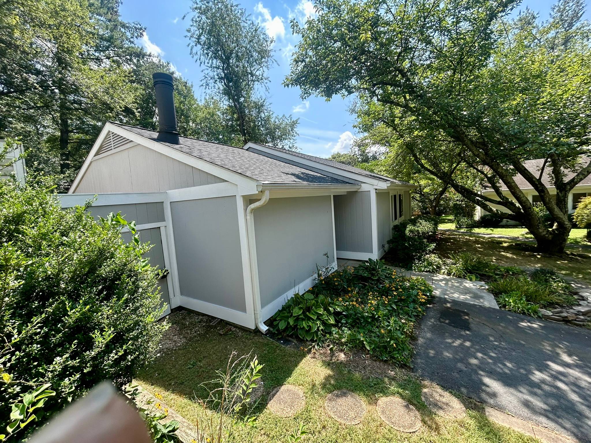 Liz Freedman's profile image