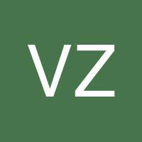 Viktor Ziv's profile image