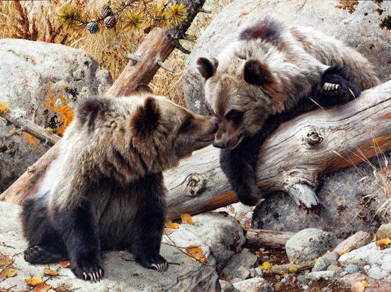 Sierra Thompson's profile image