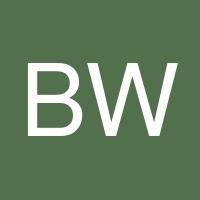 Britt Wasson's profile image