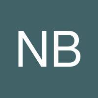 Nico Beaudoin's profile image