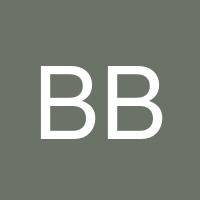 Bryan Bridges's profile image