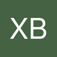 Xavier Bean's profile image