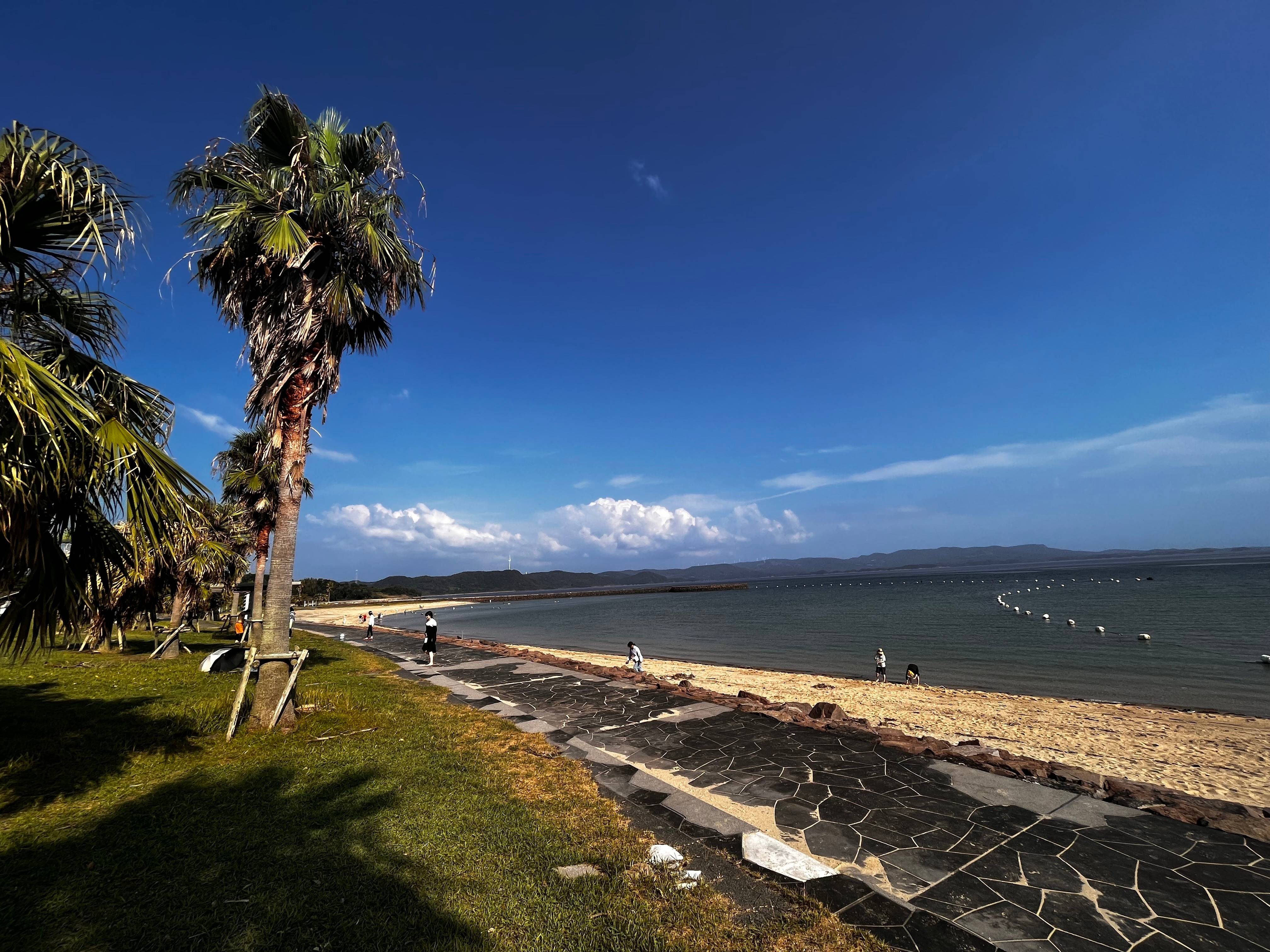 Austin Nicol's profile image