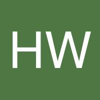 Hongjin Wen's profile image
