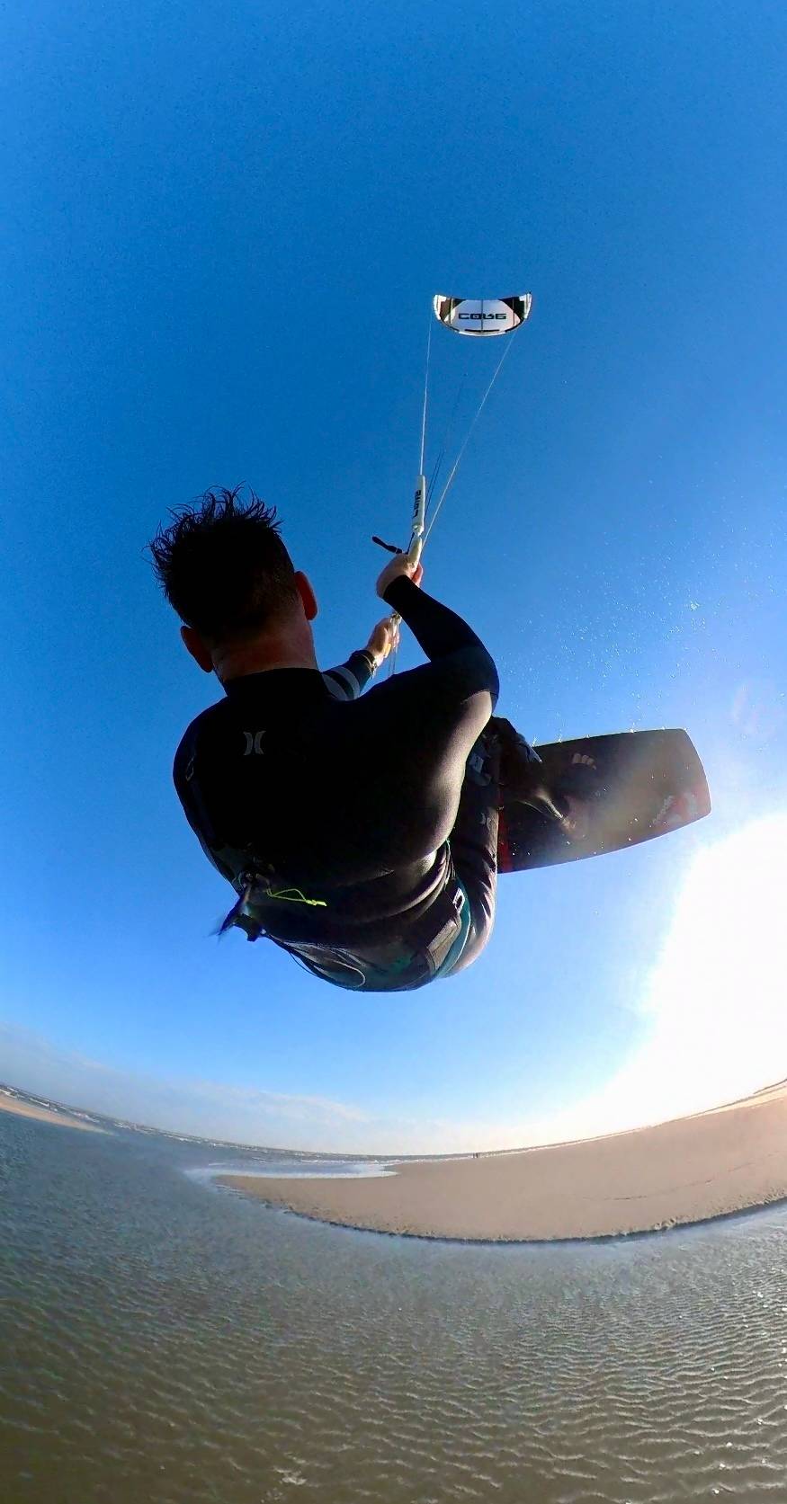 David Schar's profile image