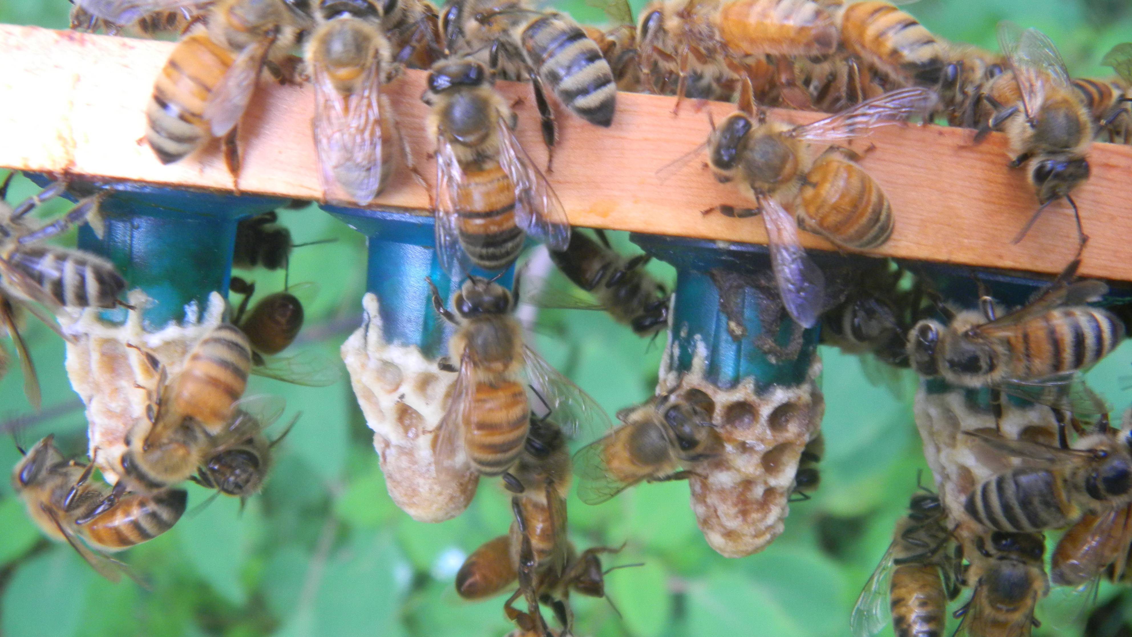 William Glawe's profile image