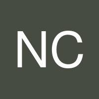 Natalia Chebalina's profile image