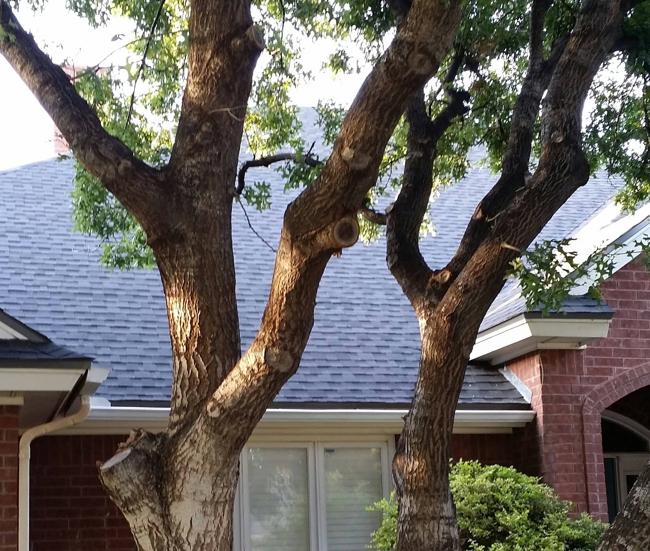 John SoRelle's profile image