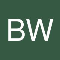 Brigid Wonder's profile image