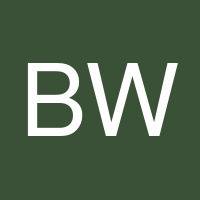 Brandon Williams's profile image