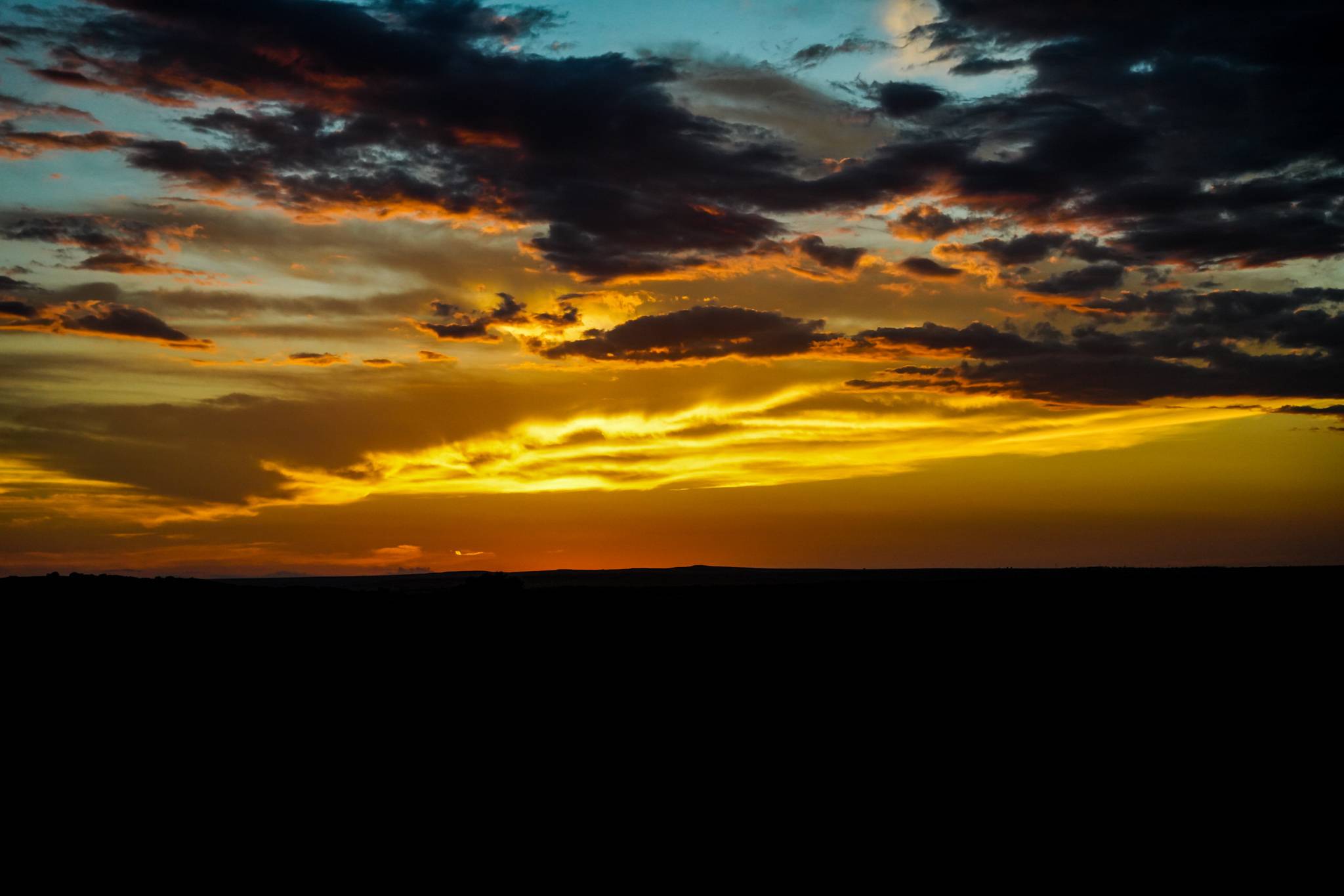 Christian Werne's profile image