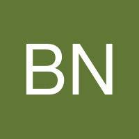 Bradley N Meyer's profile image
