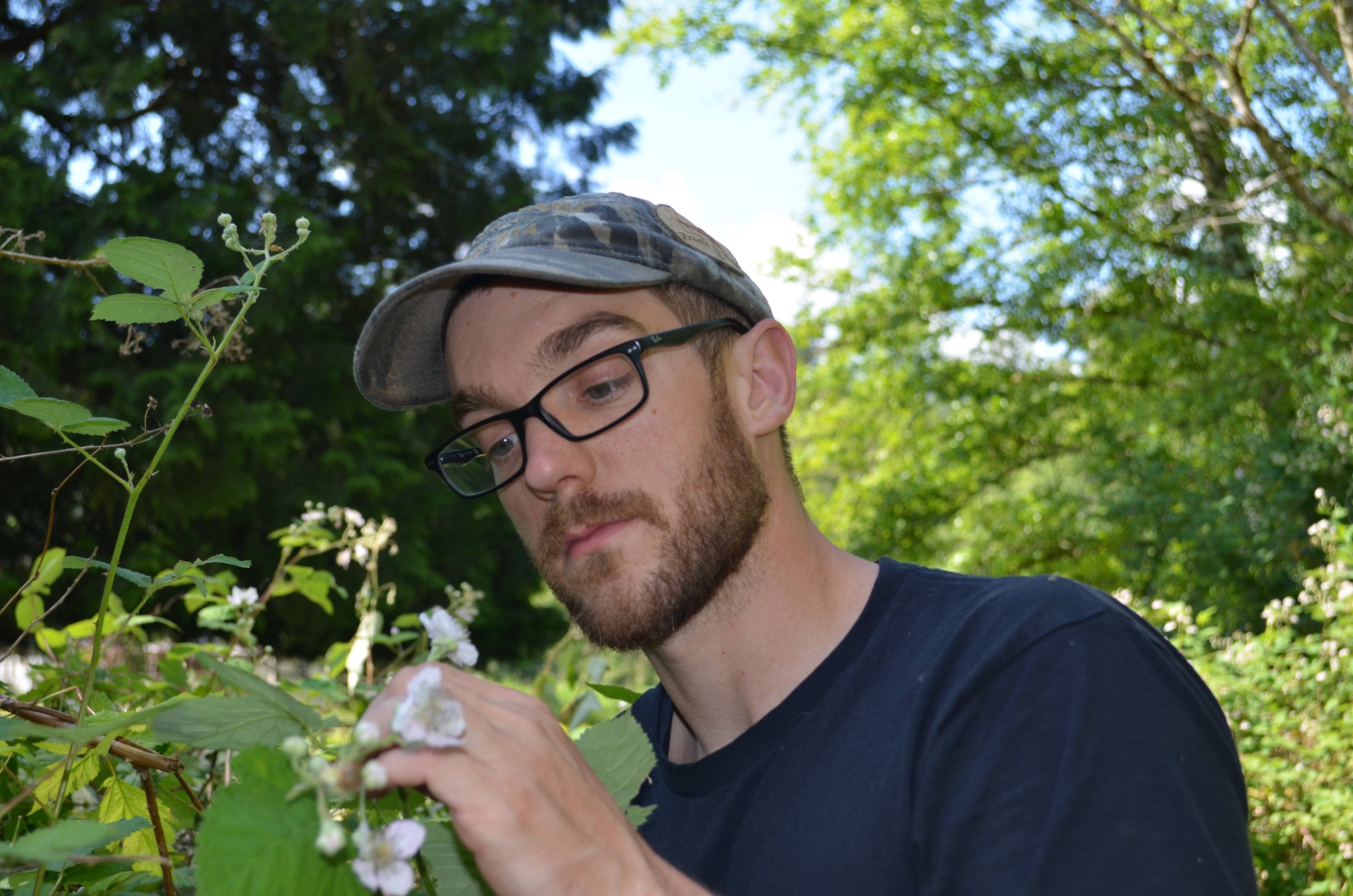 Ben Mardis's profile image