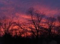 Stephen Hare's profile image