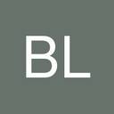 Brit Lee's profile image
