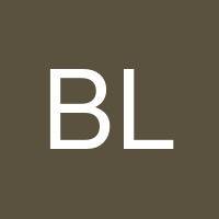 Brandon Lopez Abarca's profile image