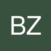 Besuvo Zanic's profile image