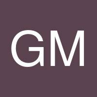 Gabriel Meier's profile image