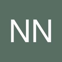NA Nash's profile image